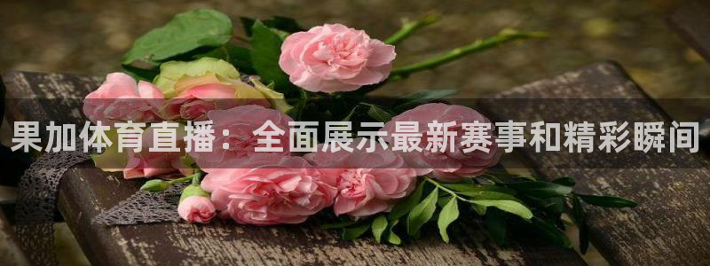 蜘蛛nba免费直播在线观看高清：果加体育直播：全面展示最新赛事和精彩瞬间