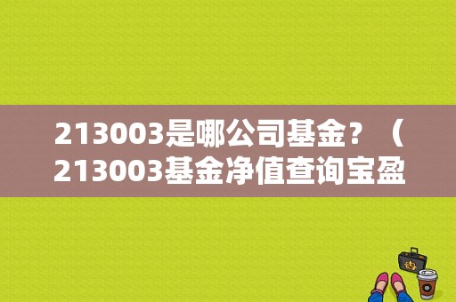 213003是哪公司基金？（213003基金净值查询宝盈核心）
