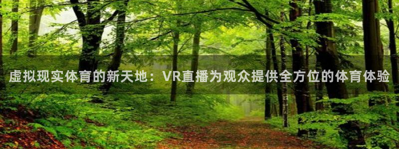 蜘蛛体育小狐狸：虚拟现实体育的新天地：VR直播为观众提供全方位的体育体验