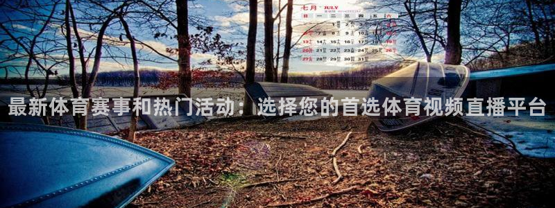 蜘蛛nba免费直播在线直播：最新体育赛事和热门活动：选择您的首选体育视频直播平台