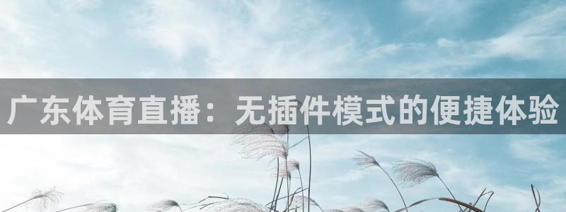 蜘蛛直播体育免费：广东体育直播：无插件模式的便捷体验