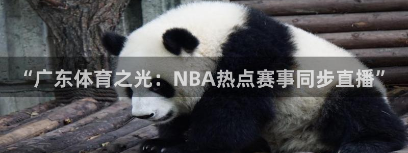 蜘蛛足球：“广东体育之光：NBA热点赛事同步直播”