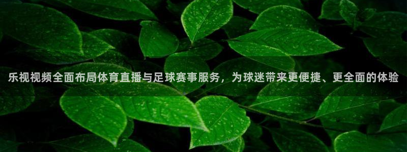 蜘蛛体育nba：乐视视频全面布局体育直播与足球赛事服务，为球迷带来更便捷、更全面的体验