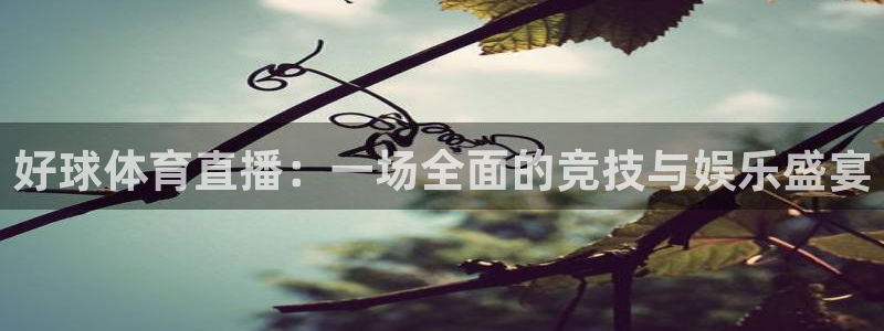 蜘蛛体育直播小狐狸：好球体育直播：一场全面的竞技与娱乐盛宴