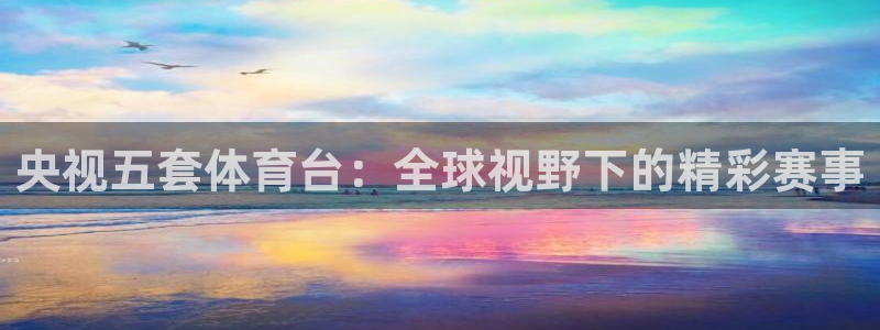 蜘蛛体育直播：央视五套体育台：全球视野下的精彩赛事