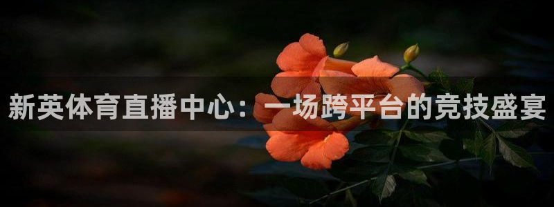 蜘蛛nba直播免费观看：新英体育直播中心：一场跨平台的竞技盛宴
